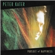 Peter Kater - Pursuit Of Happiness